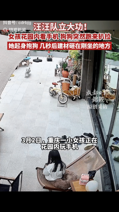 “解释不清了”！重庆，一小女孩在自家院子的躺椅上玩手机，突然狗子从旁边花园里跑了