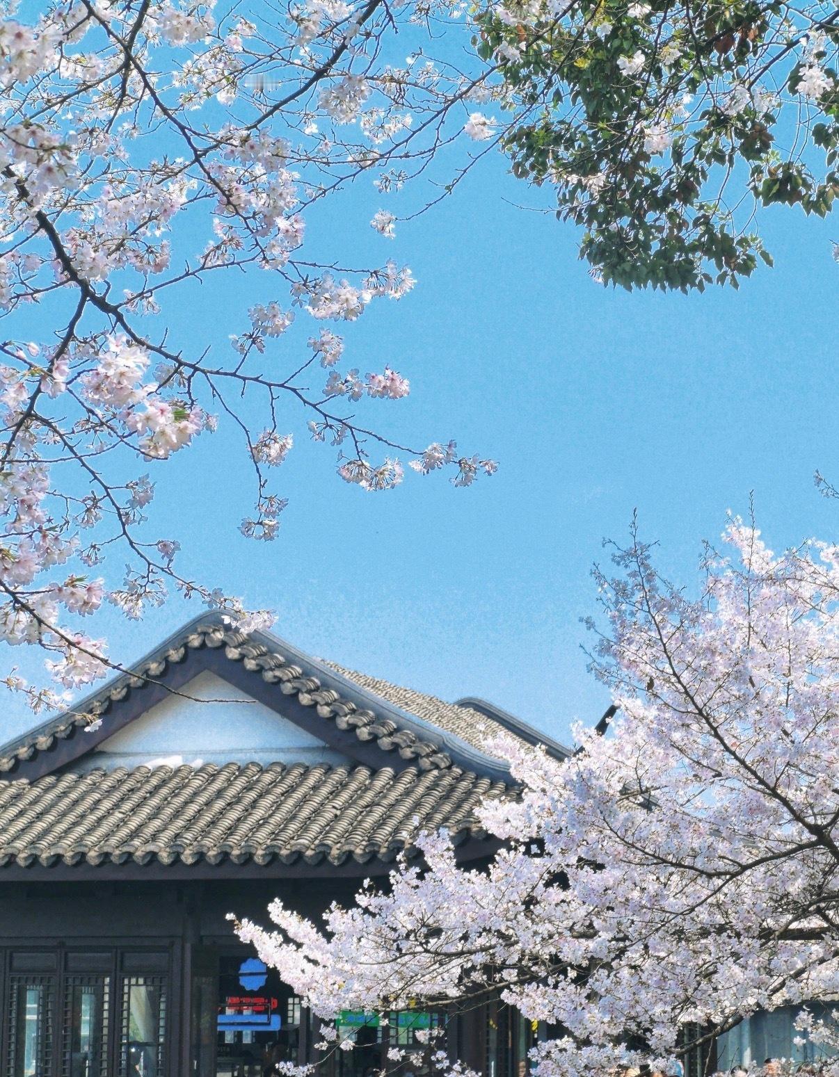 别人卷KPI，杭州卷快乐！能放肆呐喊解压，能随时被鲜花和美食治愈，这才是城市该有