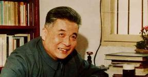 1986 年，邓稼先因全身大出血病逝。临终前，邓稼先紧握许鹿希的手，说出“这辈子