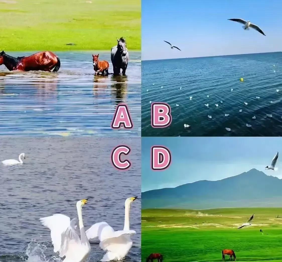 💟 你是旺夫还是旺子？
一张图测你到底旺夫还是旺子，很准哦！
下面四幅图，你会