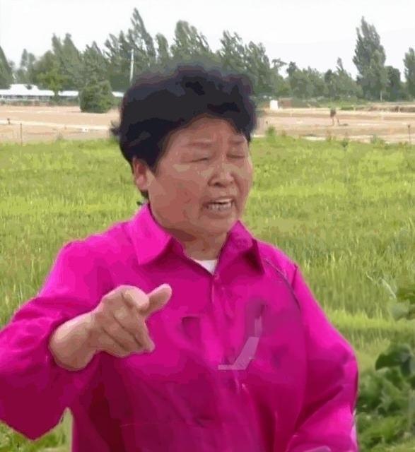 65岁老太太，硬座车厢里站了22小时，就为跨省追讨一笔“仅退款”。

这事儿说出