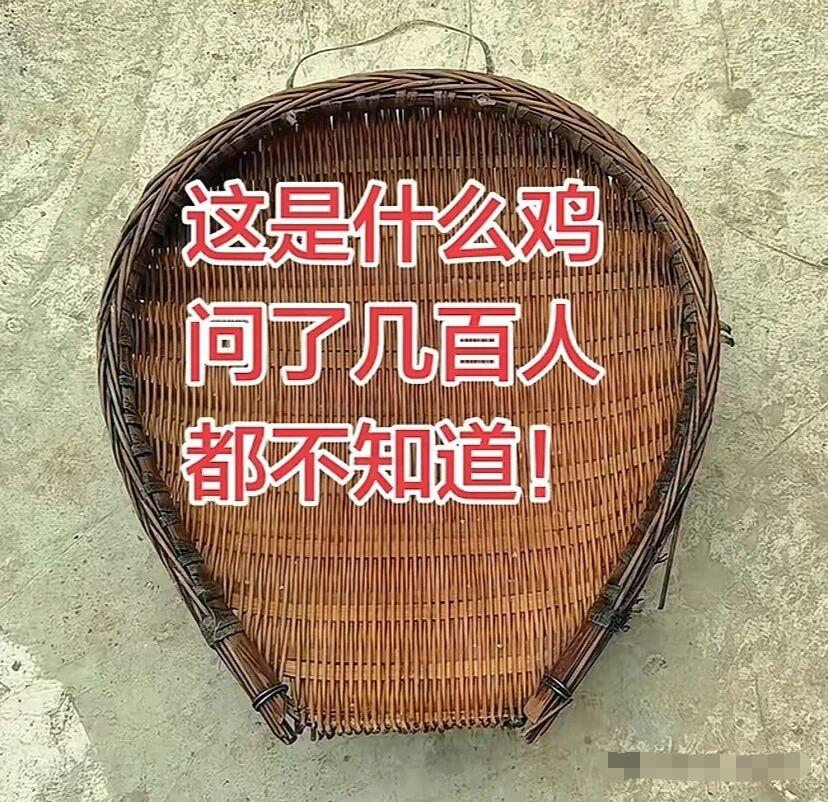 这叫什么鸡，你认得吗？
.