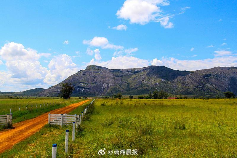 【#科学家发现数十个疑似新物种#：可在紫外线下发出荧光的冠蟹蛛，会模仿有毒瓢虫外