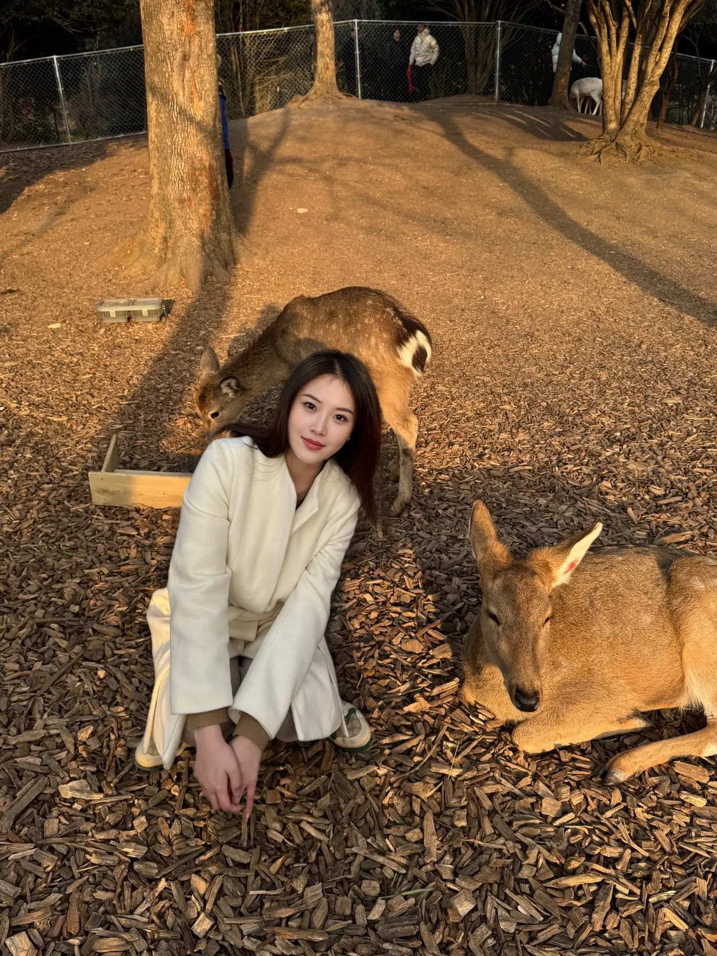 摸摸小鹿头 烦恼都没有