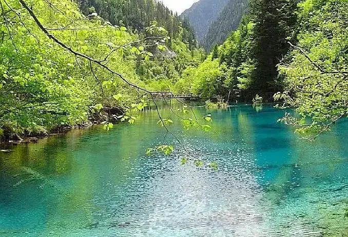 今天还是先说说小日，特特与早苗通话后，小日依然坚持原有态度，拒绝道歉，拒绝改变小