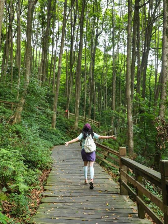成都1h|清凉不晒🍃很冷门轻松的徒步路线！