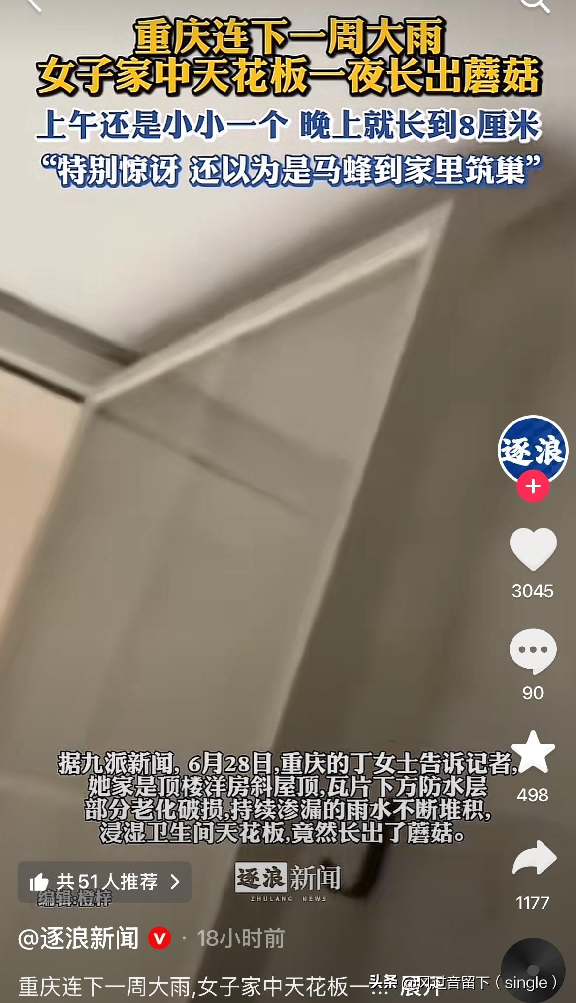 天花板上长蘑菇，这是啥情况啊！
6月28日，重庆一女子告诉记者她家天花板上长了一