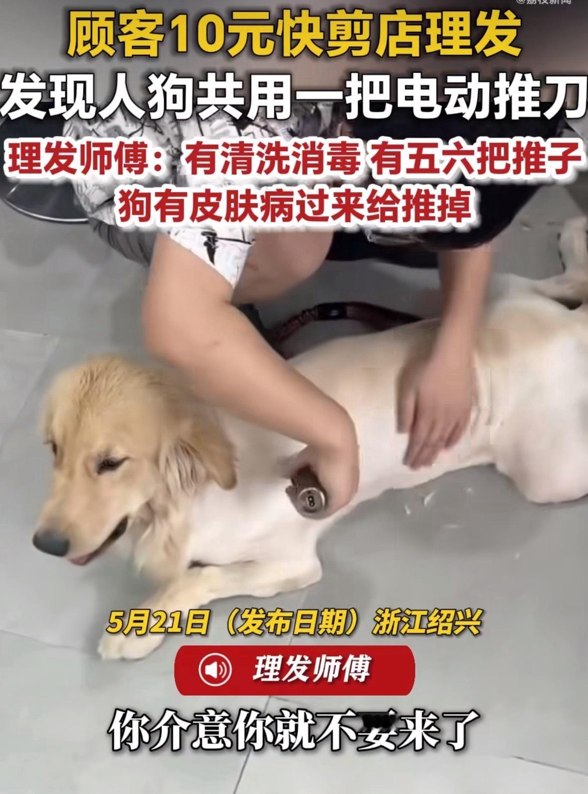 10元快剪店人狗共用一把推刀省流：不仅共用一把推刀，而且狗还有皮肤病，客人们有福