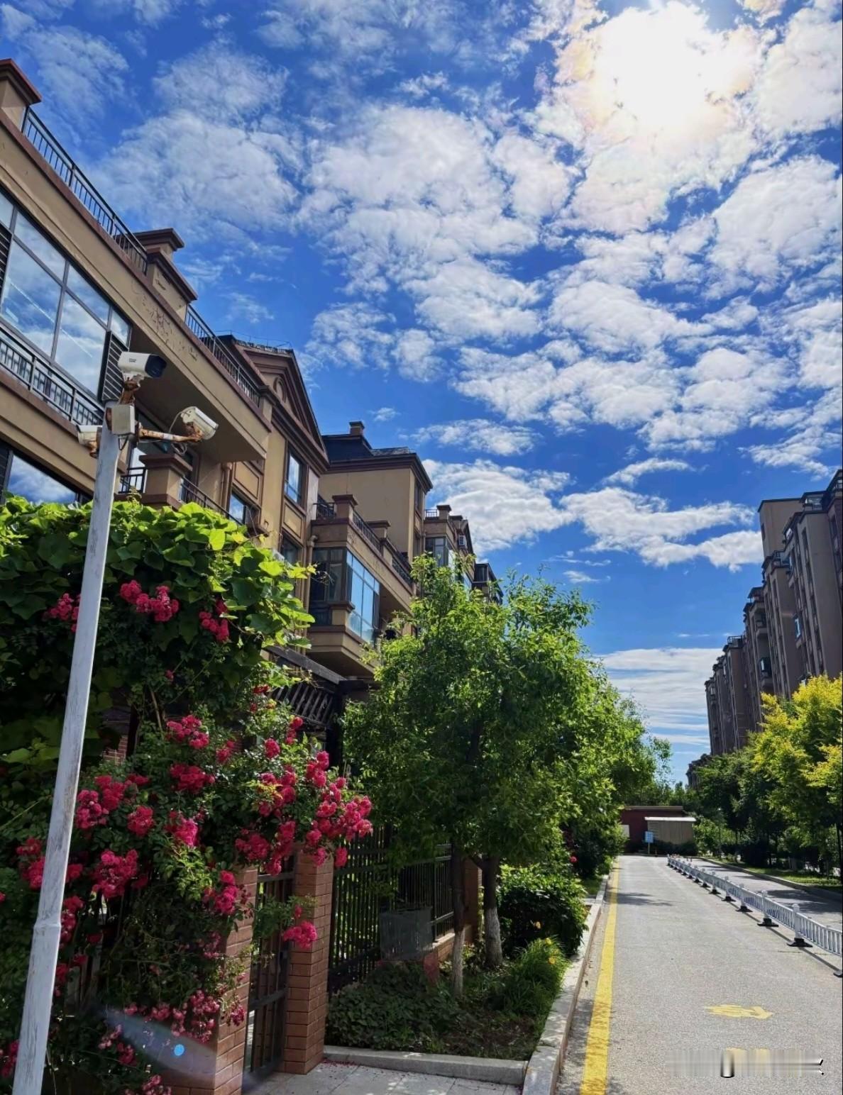 🍃~~~~~~~~~~~~~~~🍃
✨       不知不觉 
  下个月7