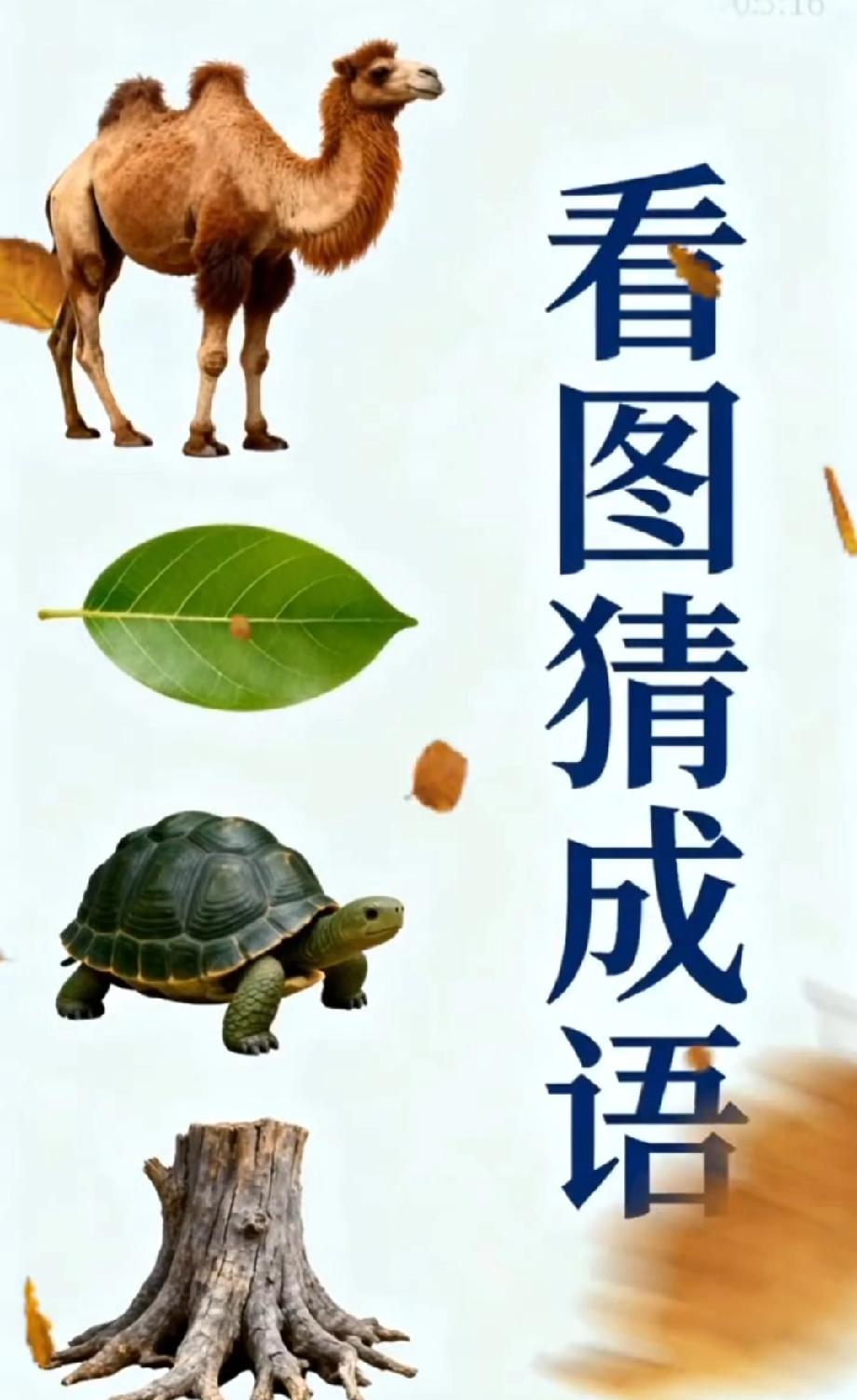 猜成语挑战！骆驼+树叶+乌龟+树桩，能答出来的都是成语高手，你敢来试吗？