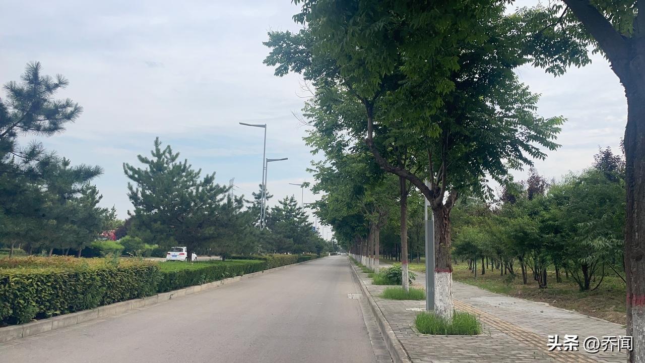 【七律•端午】
端午来临人尽忙，门悬艾叶粽包香。
雄黄饮尽精神爽，彩线缠绵玉臂康