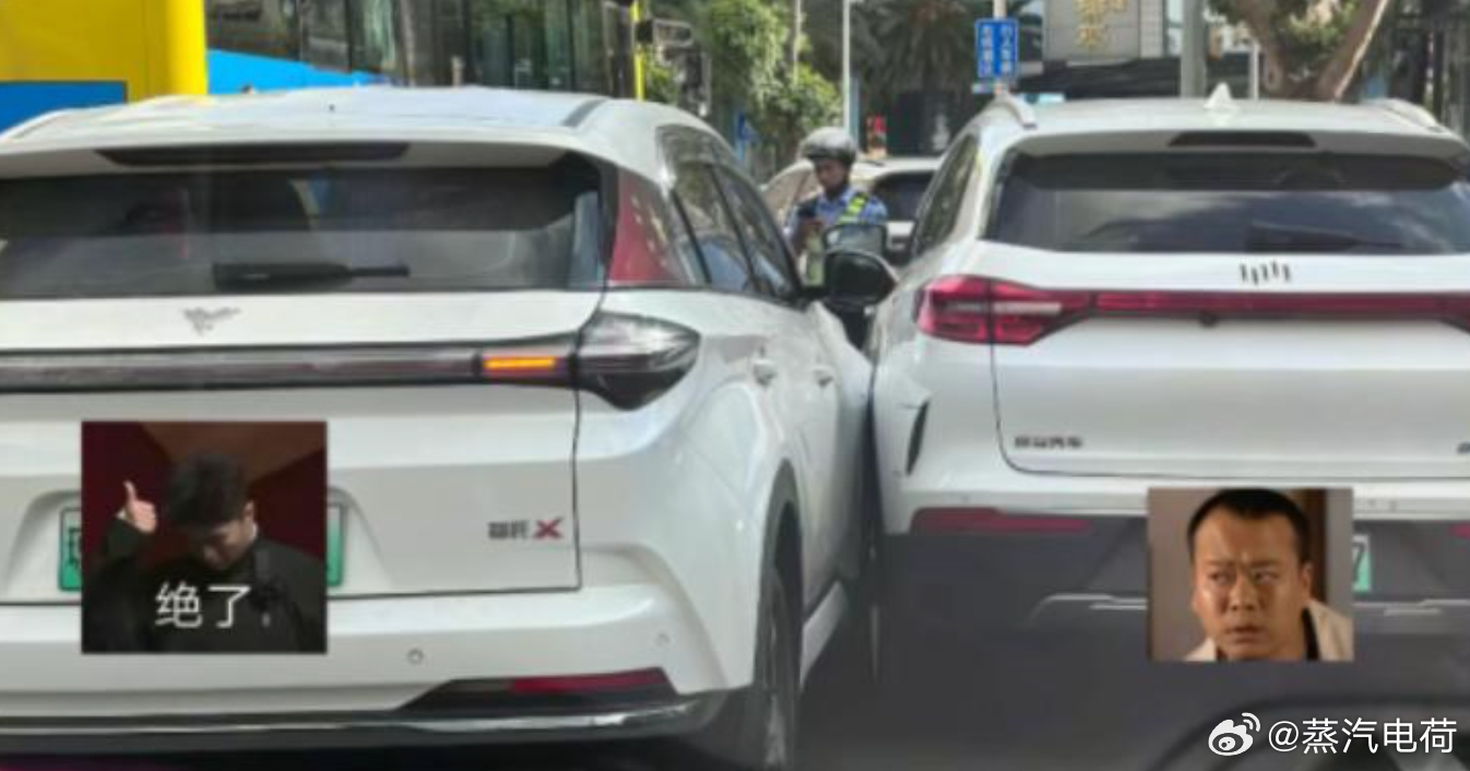 同是天涯苦命人，剐蹭备件无处寻。 