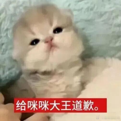 ：我错了嘛？：你没错，你厉害你厉害~