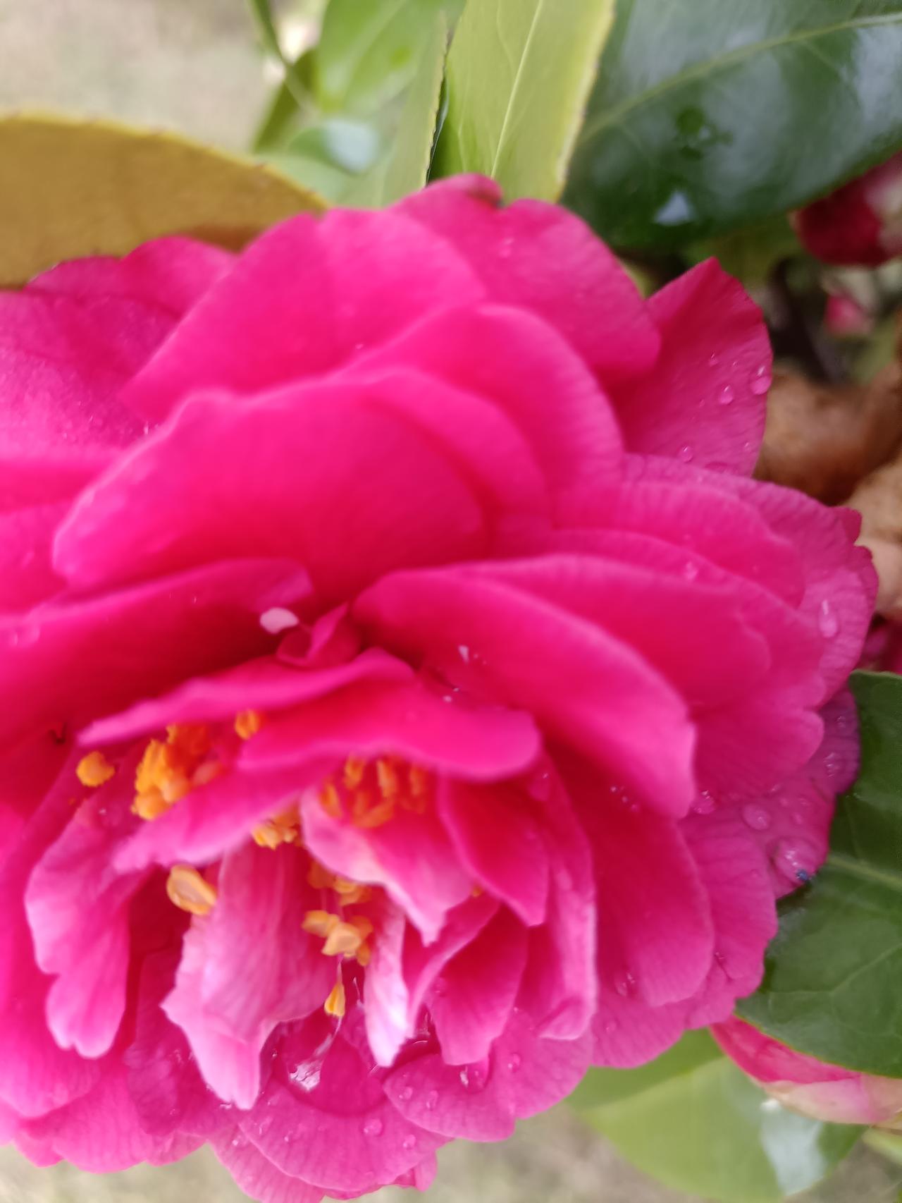 说一句话鼓励自己的话