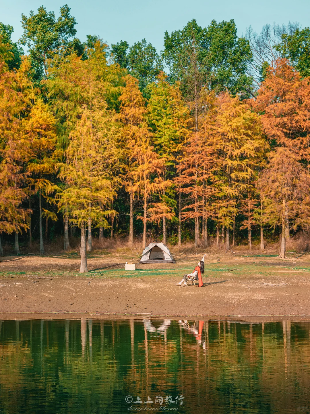 武汉水杉🏕️浓度已达99.99%‼️人少速来……