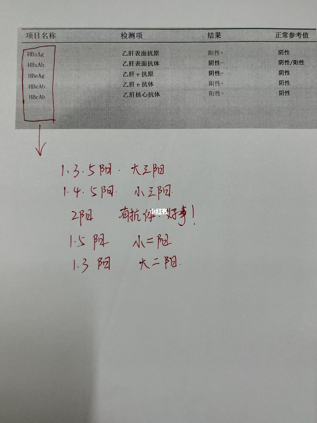 乙肝五项这样看，更简单！