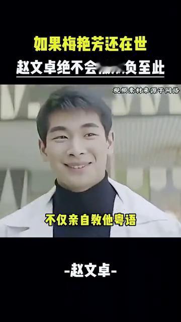 如果梅艳芳还在世，赵文卓绝不会被欺负至此。
如果梅艳芳还在，赵文卓绝不会被甄子丹