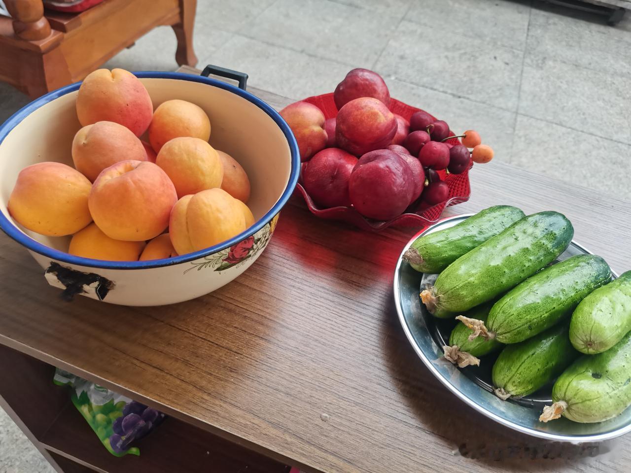 昨天等了一天，儿子没有回来，儿媳更没回来。
水果给他们准备好了，新鲜蔬菜也给他们
