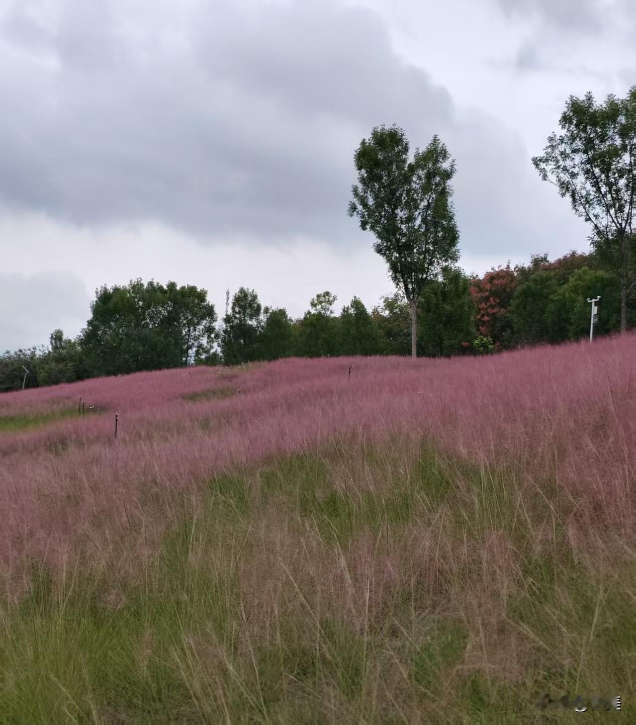 我这样胆小慢热的人，需要别人千百次的主动和回应 才愿意相信那才是真的，其实人生的