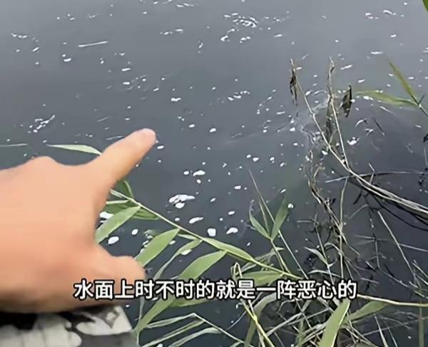 【万福河污染事件引发热议，周兆成：排污必须追责，生态修复不能缺位】
 
大家好，