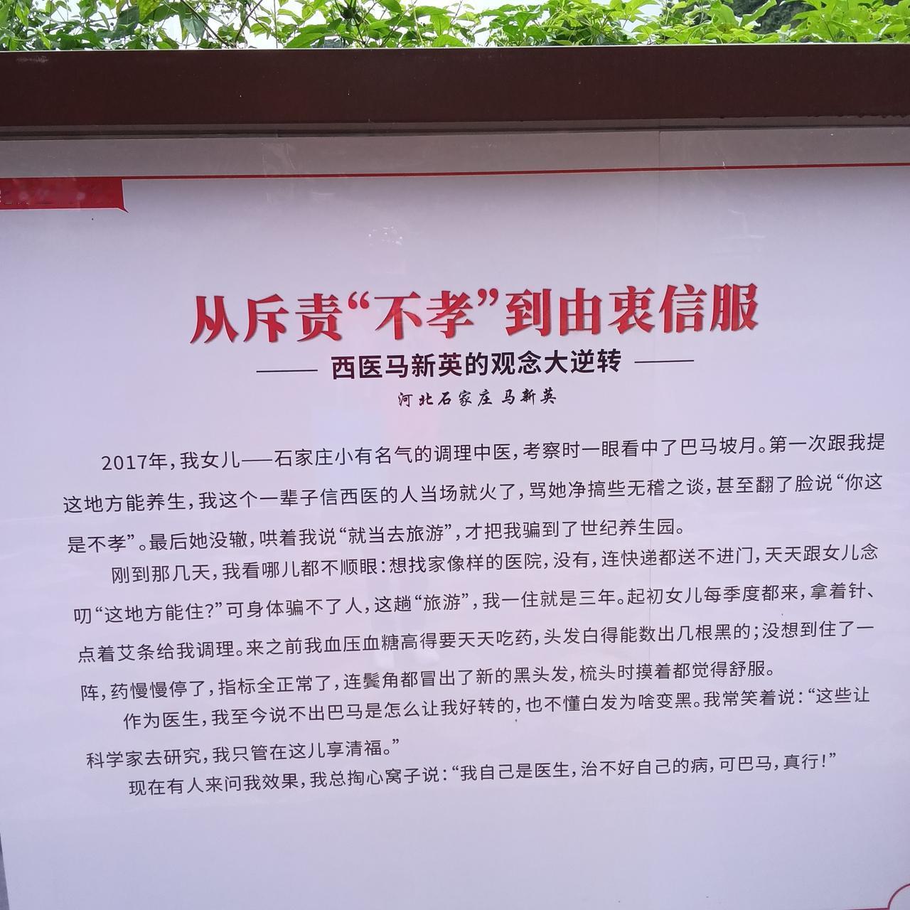 世纪养生园的康养成果墙
巴马养生获益者心生感恩

早上，由于要取快递避免排长长的