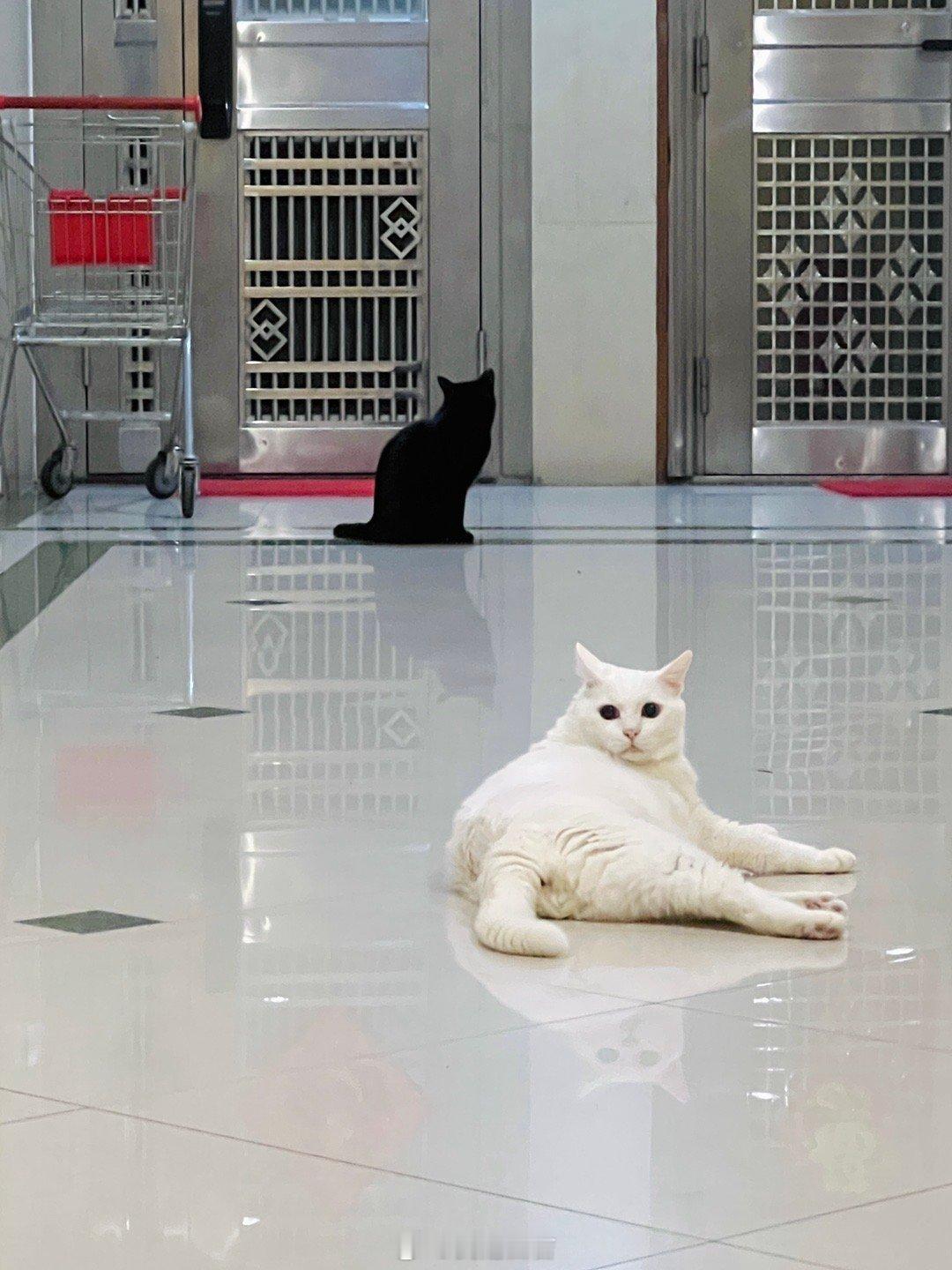 今日合照。 ​​​