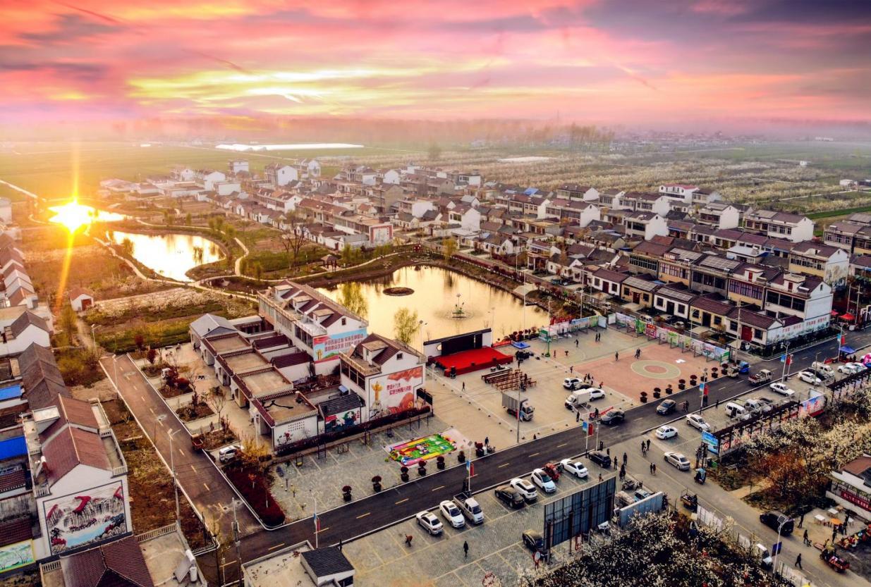 泗县大庄镇曙光村：绘就和美乡村新图景