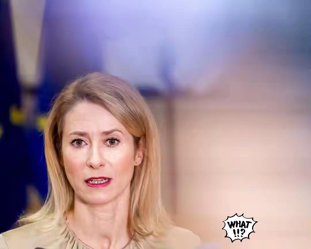 欧洲要求参与俄乌和平计划谈判

当地时间11月20日，欧盟外长会在布鲁塞尔举行。