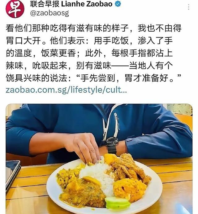 最近网上有一种论调特别流行，不少人都在感慨，自从新加坡有了首位印度裔总统之后，整