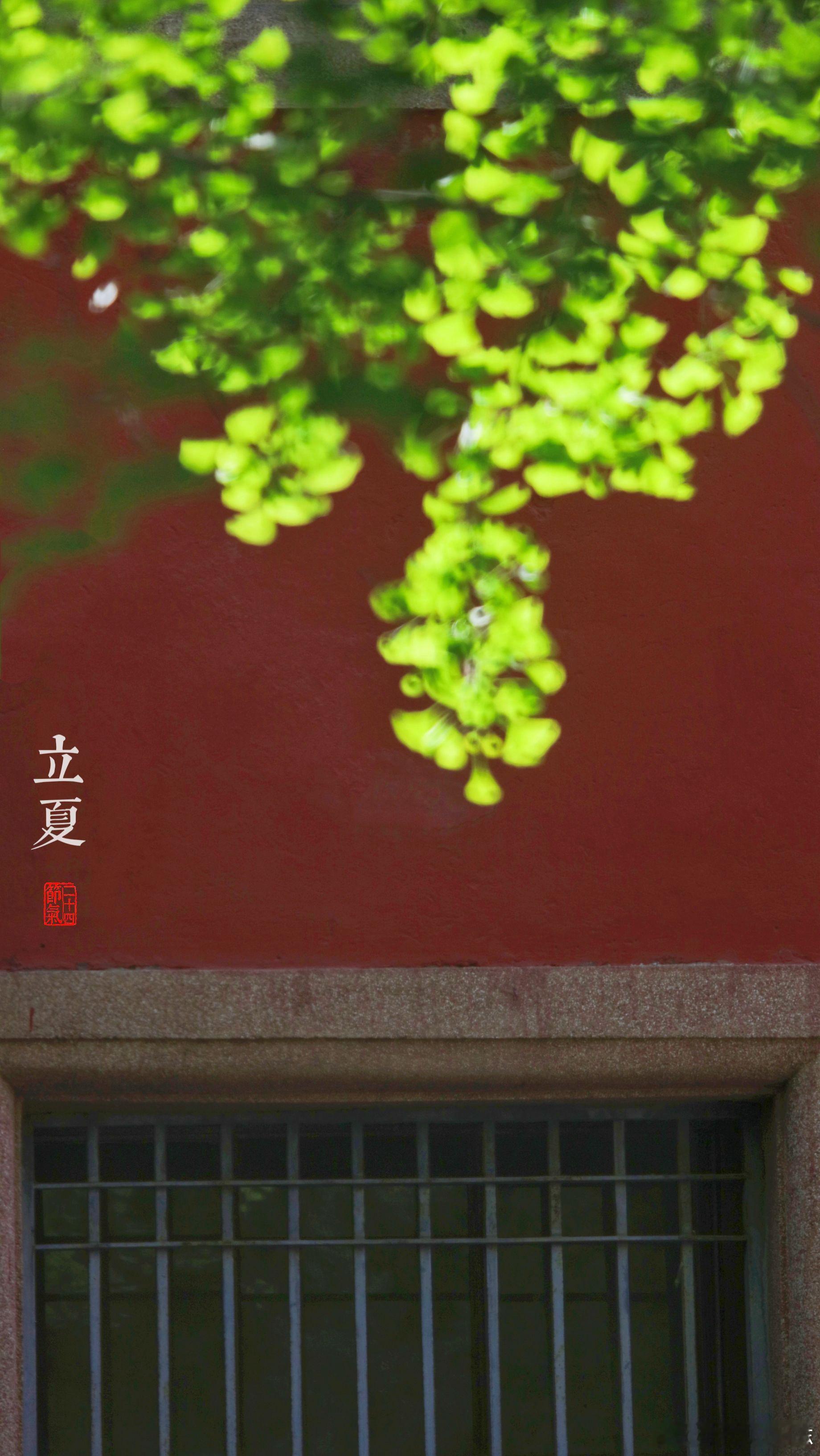 故宫 | 二十四节气之立夏摄影​​​