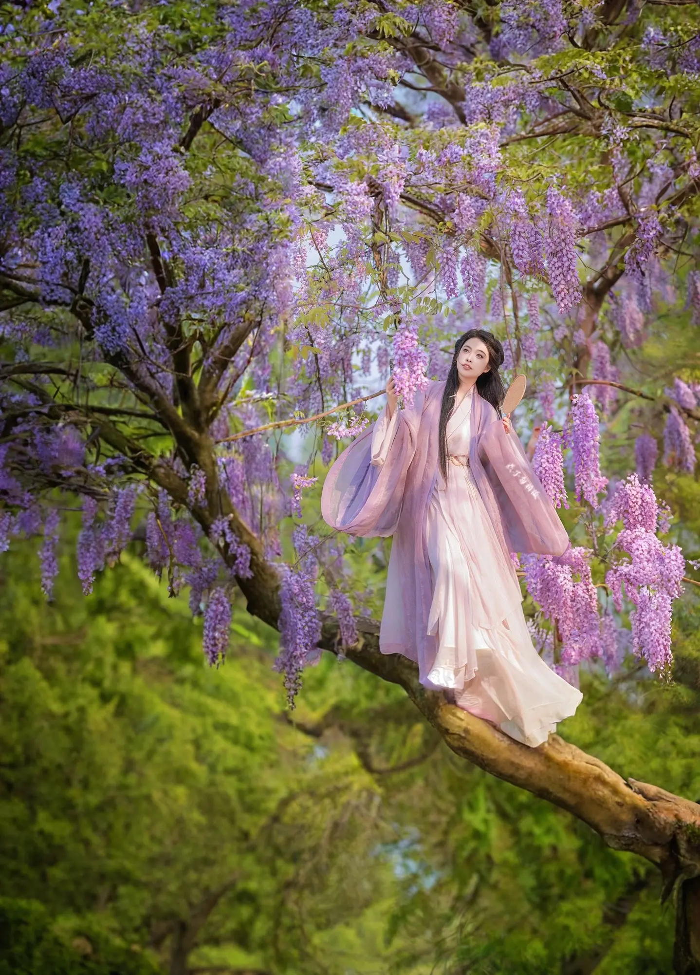 梨花哪有紫藤香～～