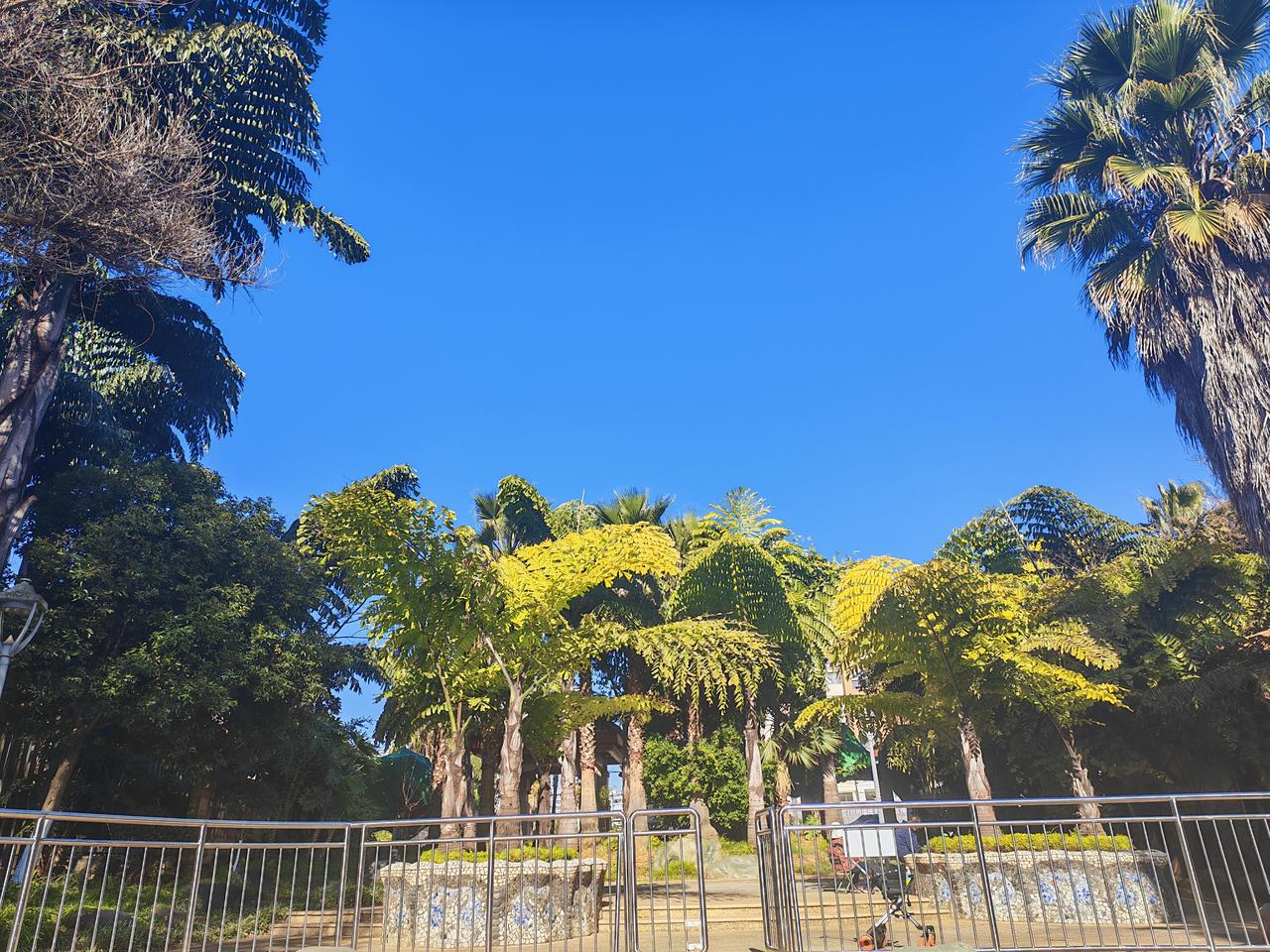 【女人在三个阶段被洗脑】听说要在网上治理宣传不婚不育的帖子了，我也来凑下热闹！