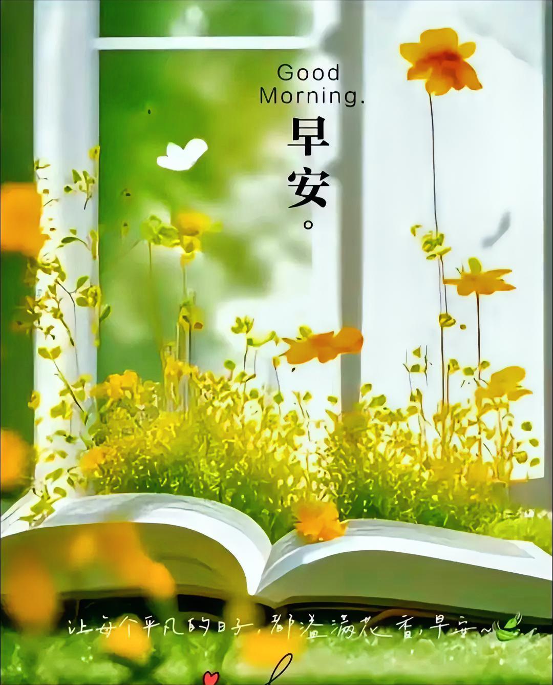 翻开书页邂逅夏天，阳光与花香满溢。早安！愿平凡日子尽是治愈与欢喜。
随手拍张照