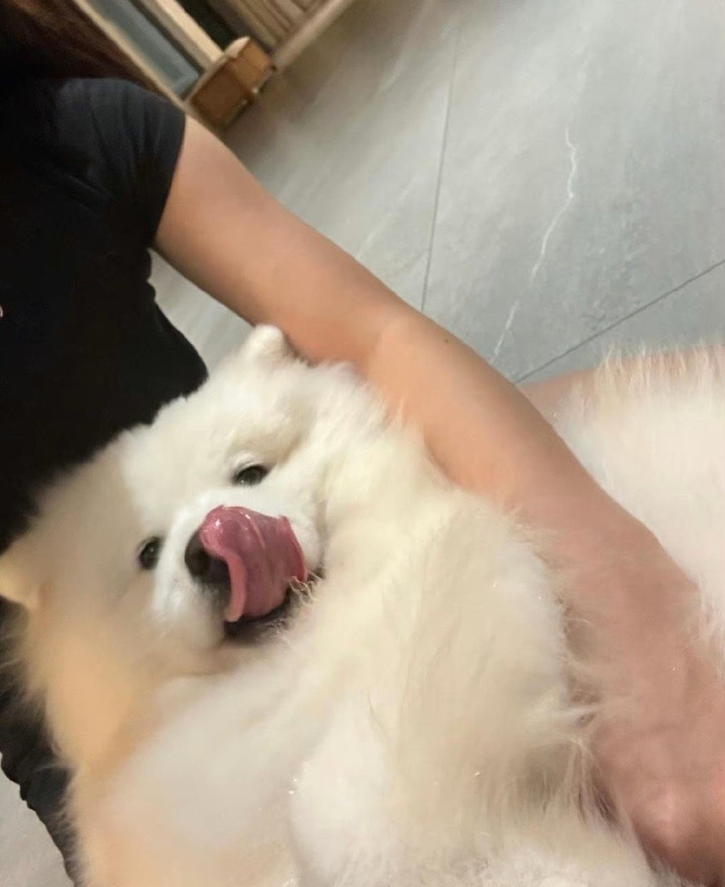 被我看到的你，龙年诸事大吉 