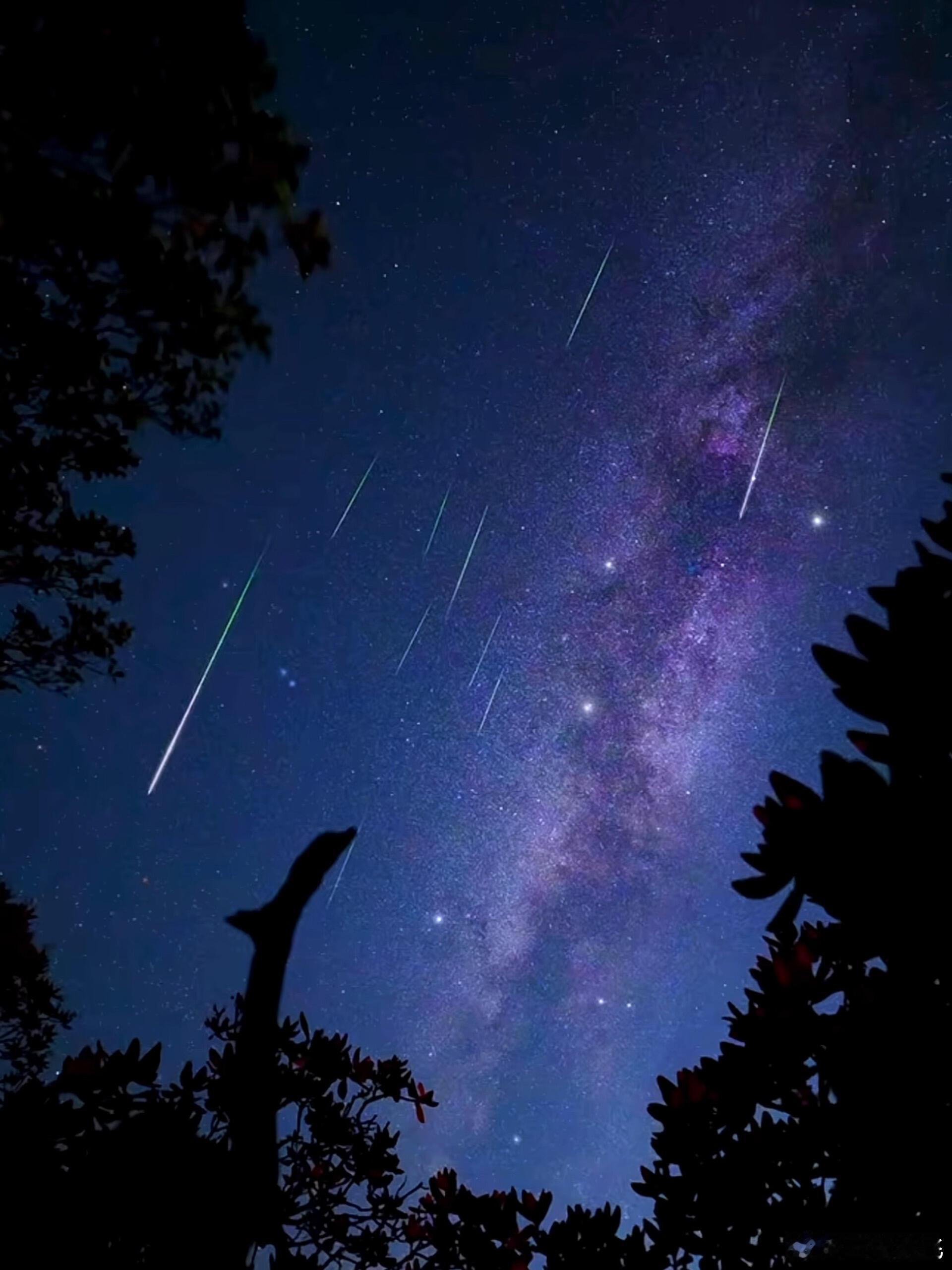 生活手记流星掠过长夜，一瞬光亮，便是整片星河的浪漫。邂逅一场流星雨，星光转瞬即逝