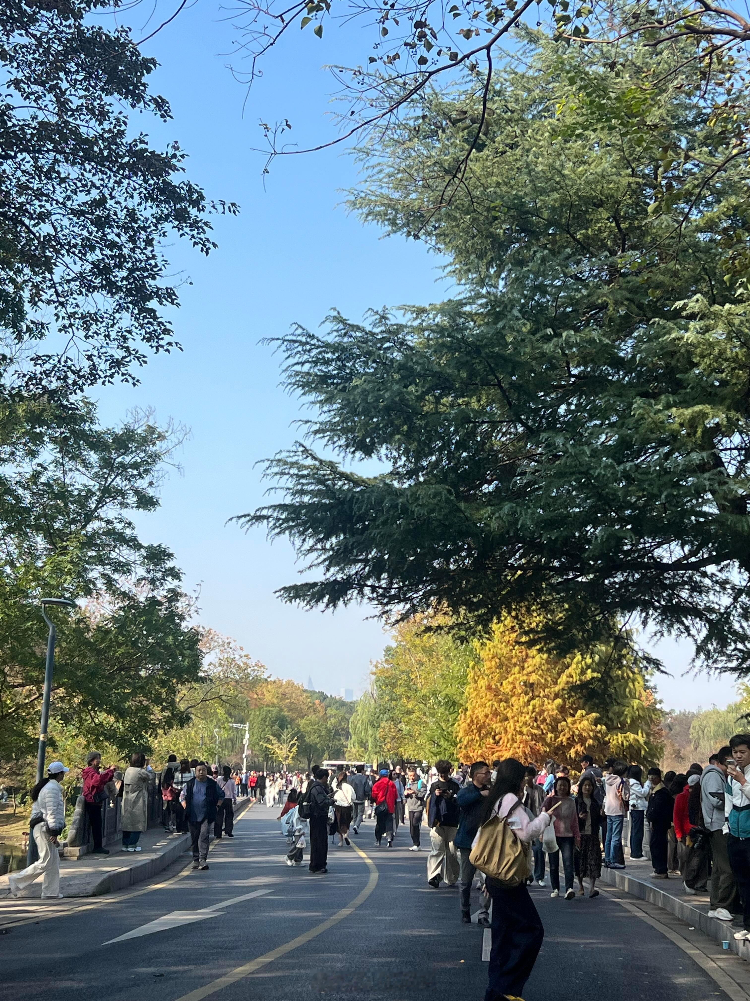 第一批秋游的人嘴也太严了 ​​​