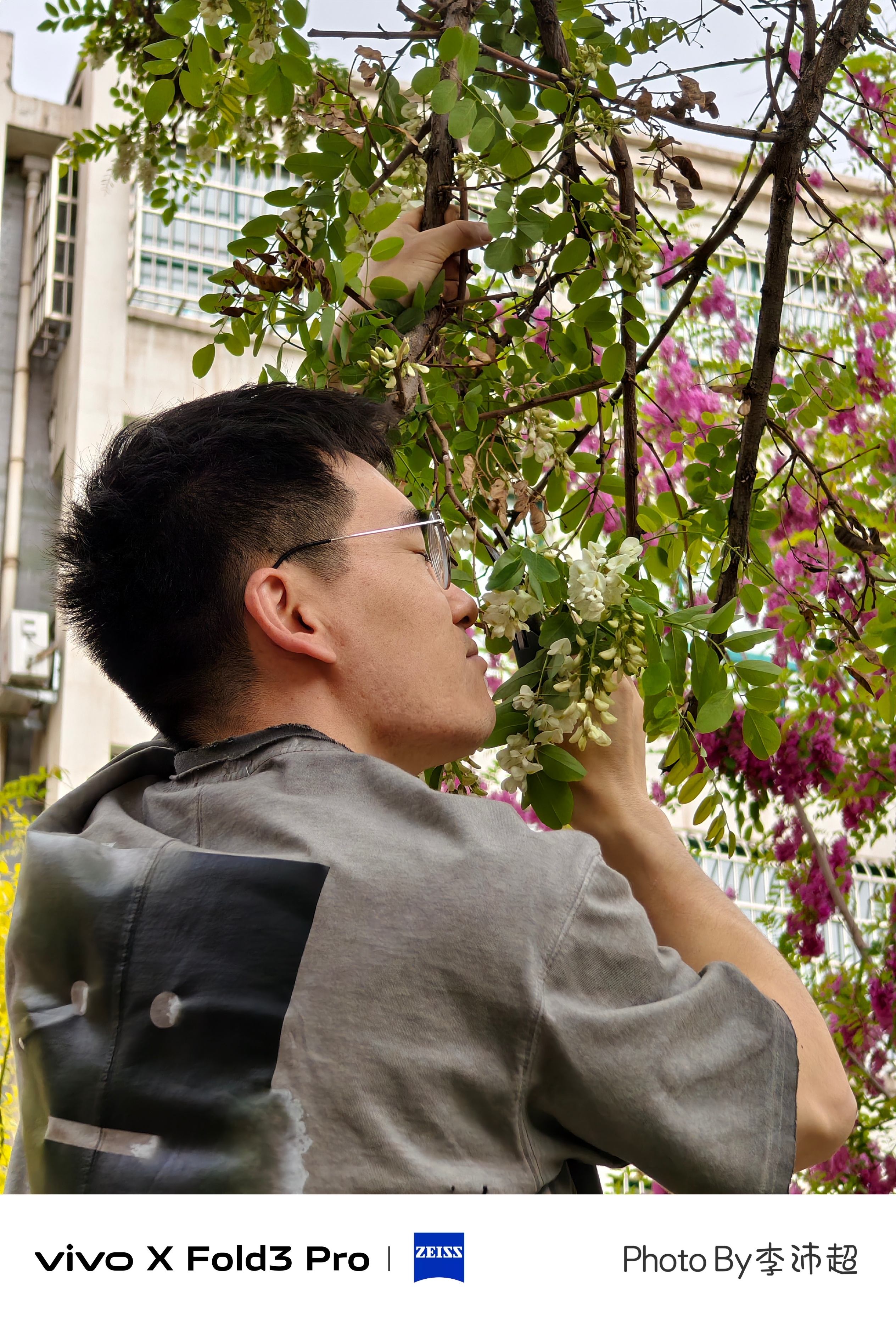 每年这个季节，洋槐花在极为短暂的花期里总是刺激着我的味蕾，路过树下闻着那沁入心脾