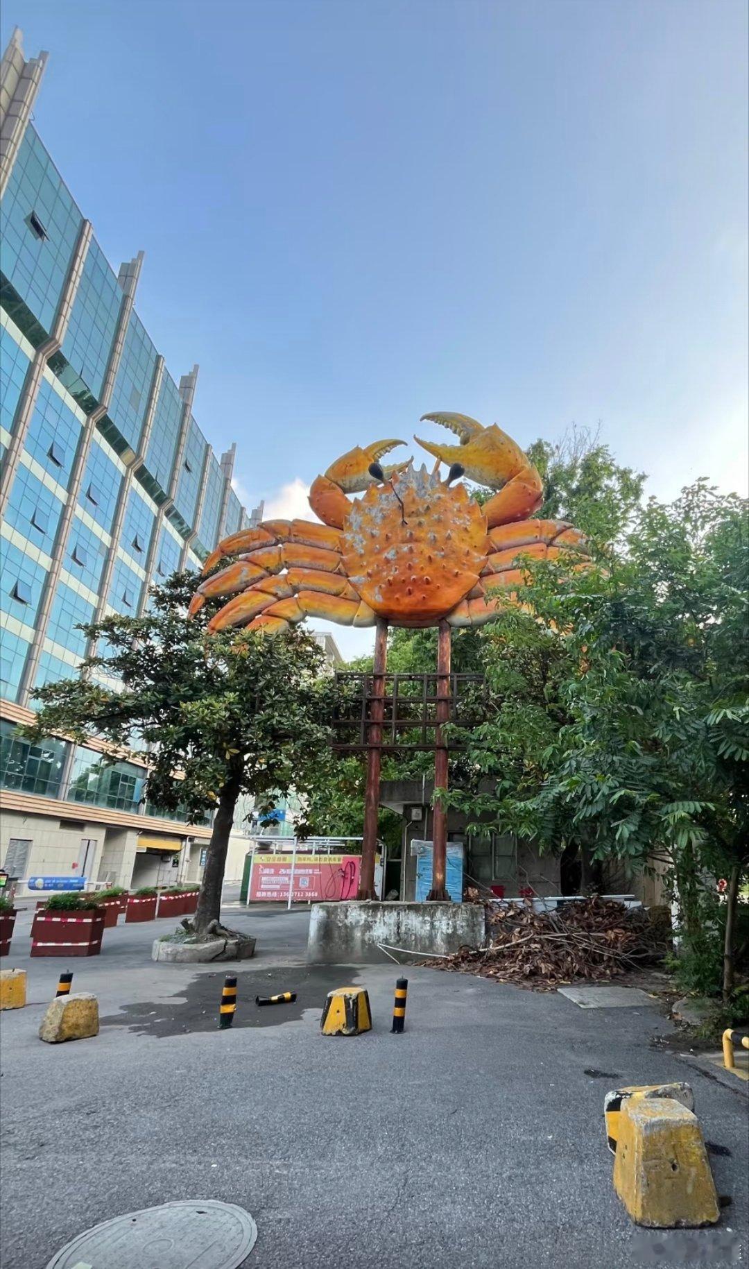 武汉停课停业有没有武汉的朋友知道这是啥