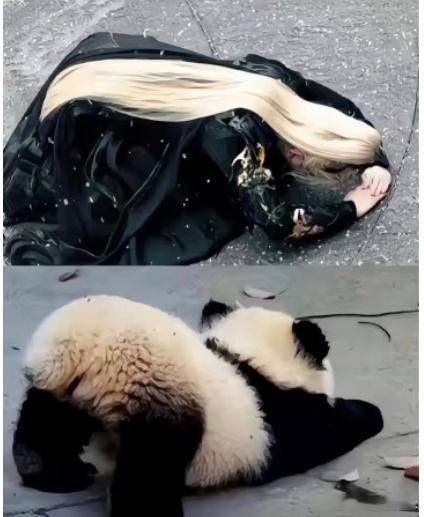 好实用的一个王权富贵儿开头哎呦小小的一只糯米团子富贵儿他爹：你看看你现在的样子！