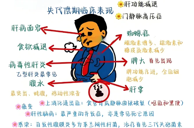 肝硬化都有什么样的临床表现？