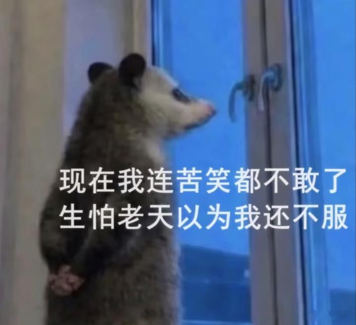 我感觉我上班上的都要变成怨魂了