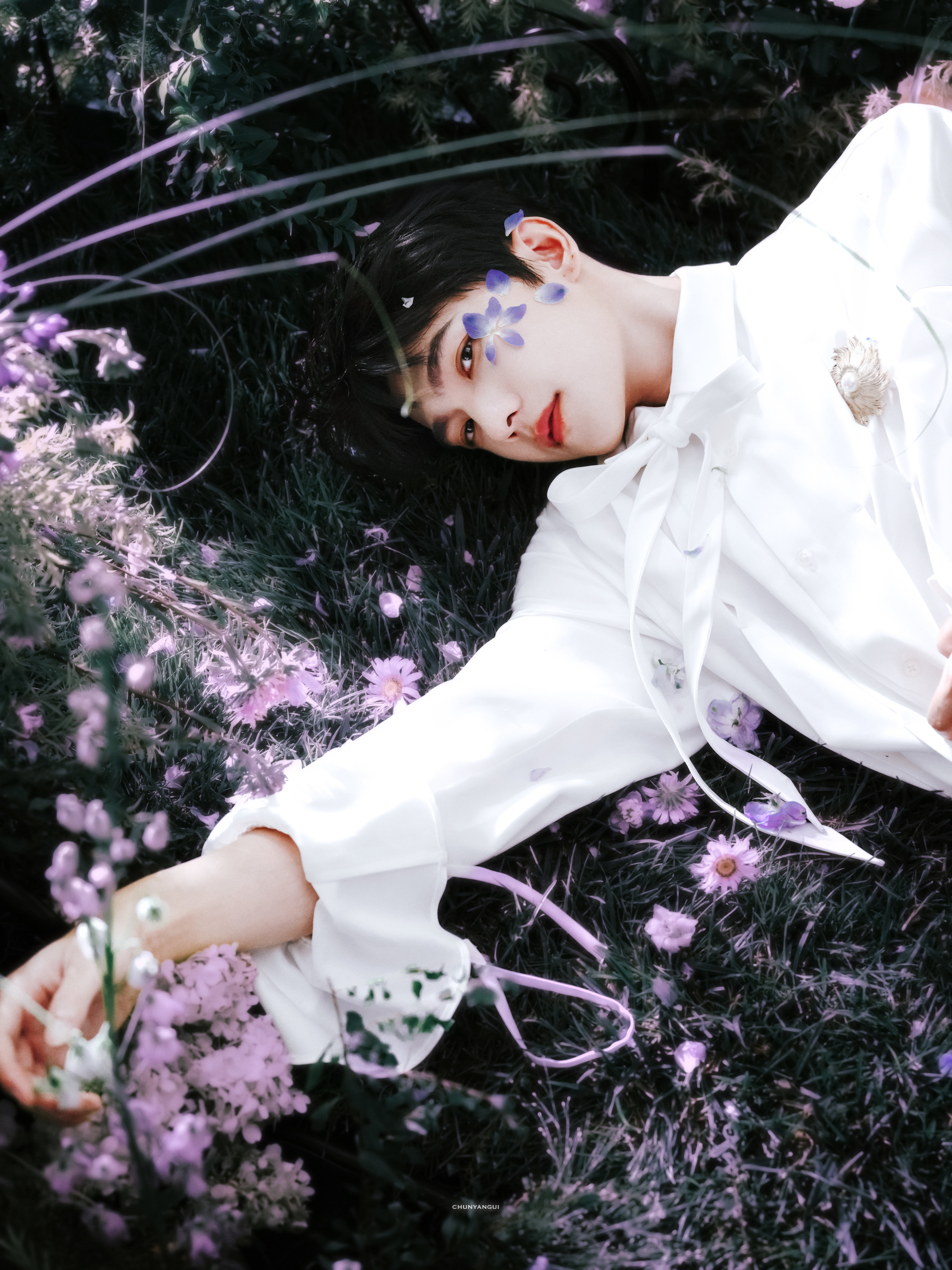 杨洋的日常另存为 于紫雾花海间，邂逅人间清梦。​​​