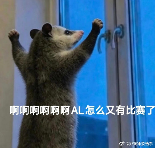 al今天打的好啊！dk的这个上单之前看论坛不是说什么天才上单？我看还不如zuia