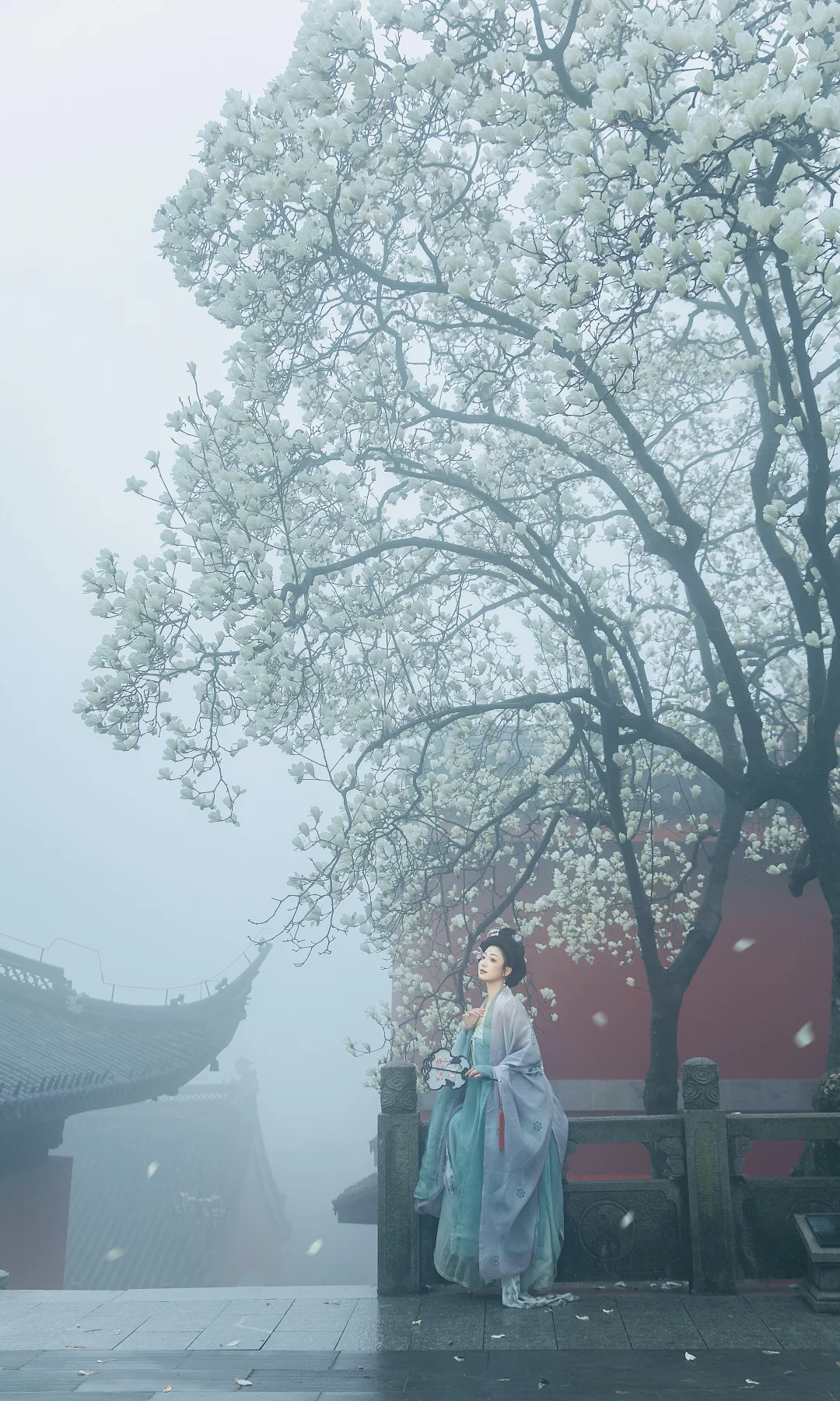 拍到了诗人笔下的“我知姑射真仙子”