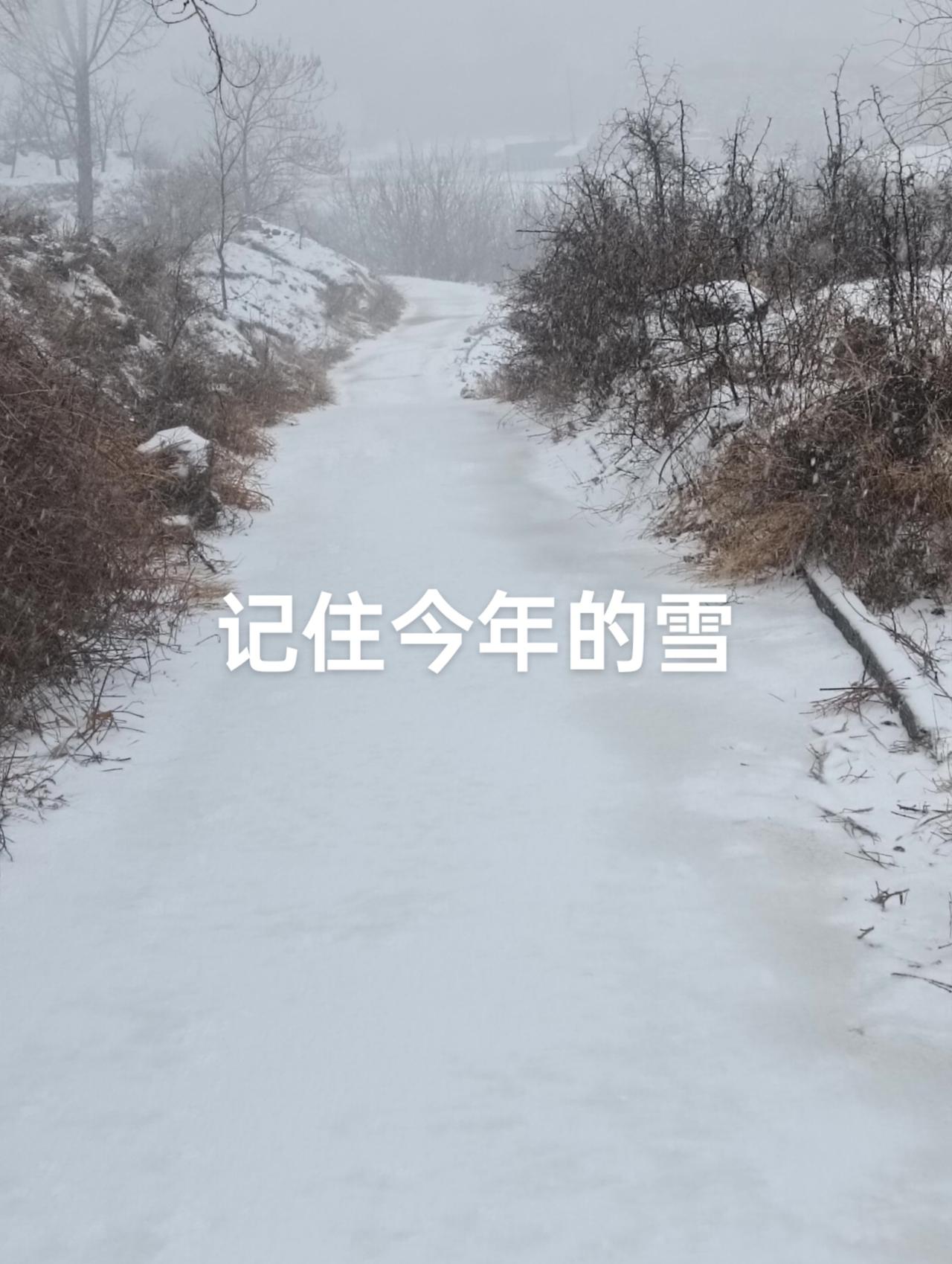 现场实拍