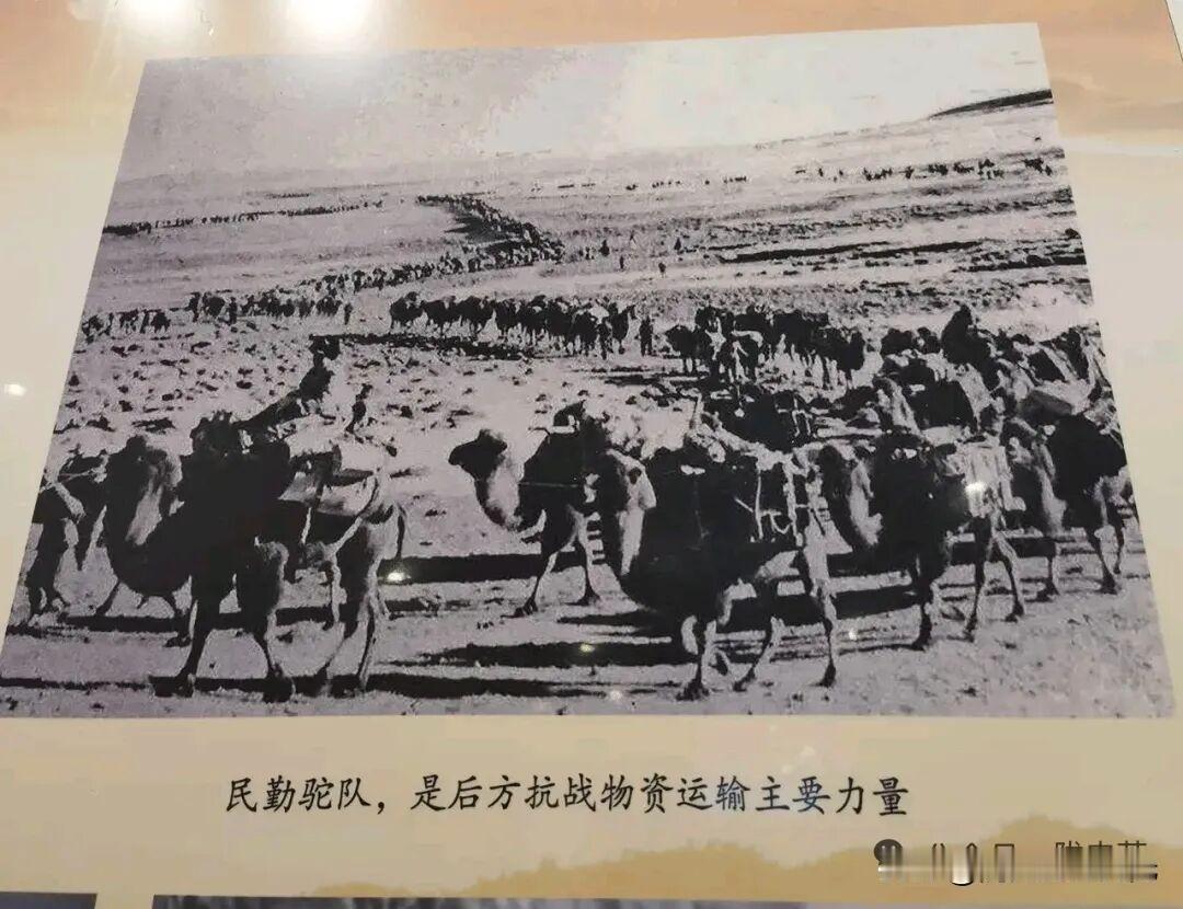 青藏公路修筑往事，两千名甘肃驼工，1.8万峰骆驼，支撑起青藏公路修建的材料生命线
