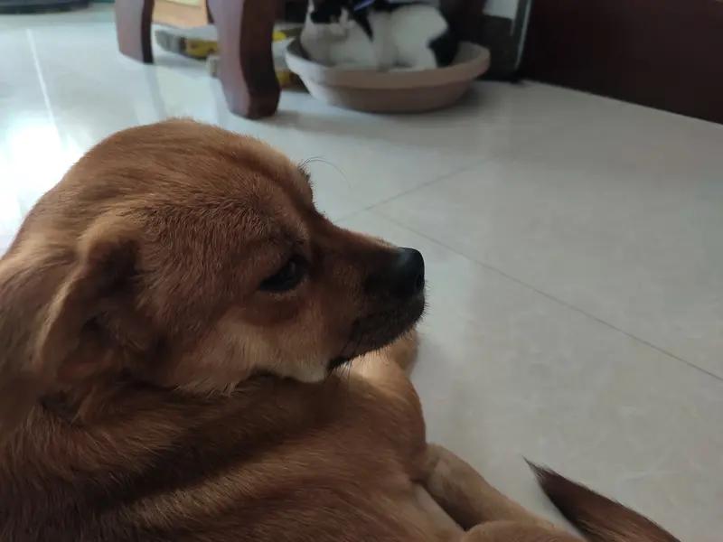 好心带东西我感恩，没接电话睡过头而已，转头就冷脸不交流，真的没必要。