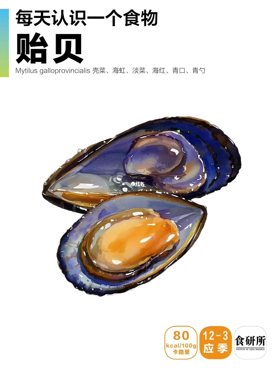 🔥海虹这么做鲜掉眉毛！低脂高蛋白海洋牛奶！