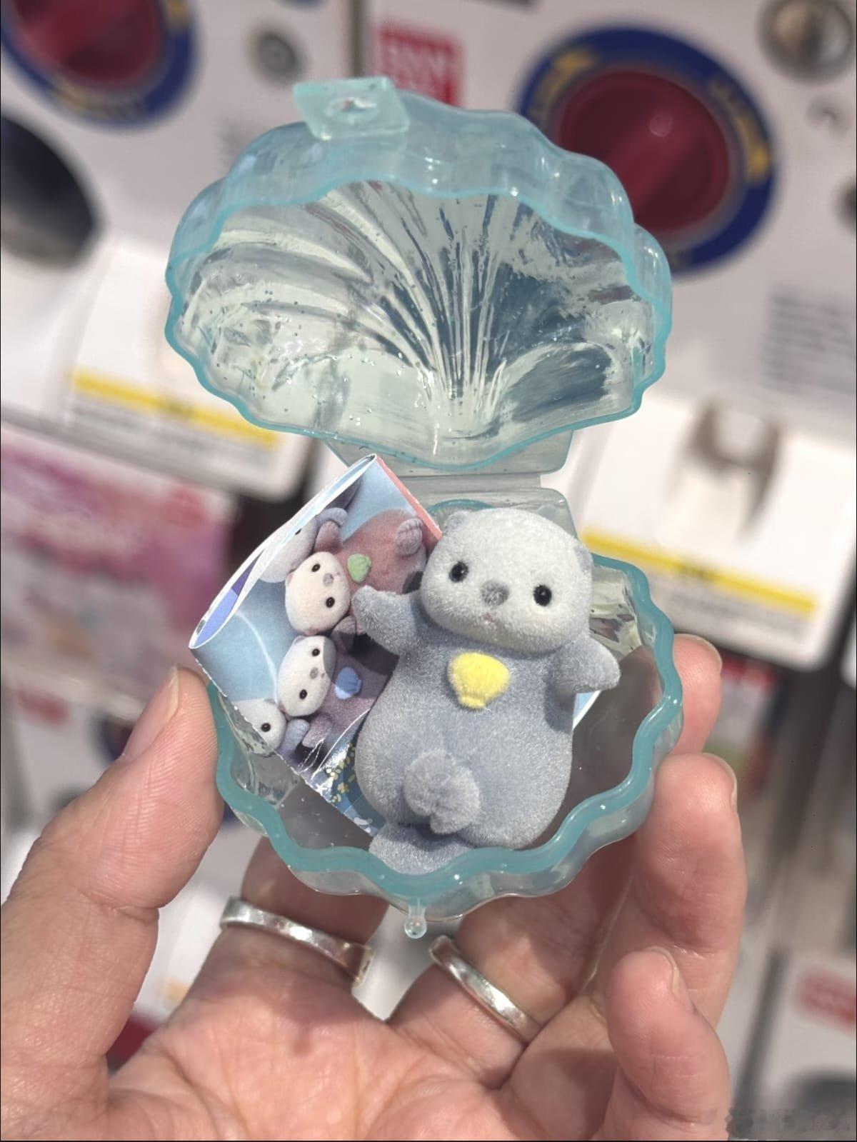 这是什么也太可爱了吧！贝壳盒里面装着软萌小水獭🦦😭 