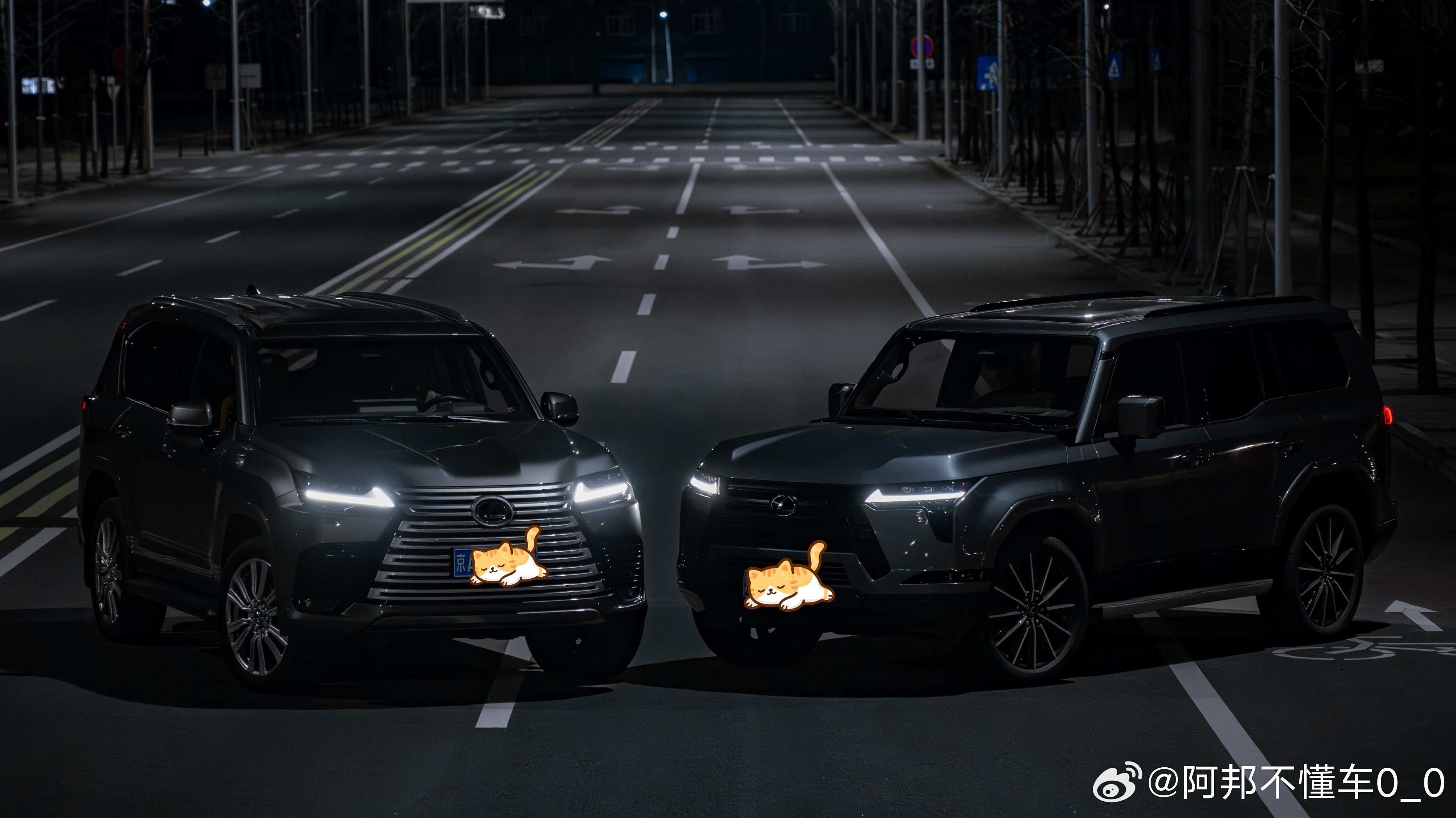 老大和老二，前者落地近200W，后者落地近100W。体验和品质中间差了个陆巡，你